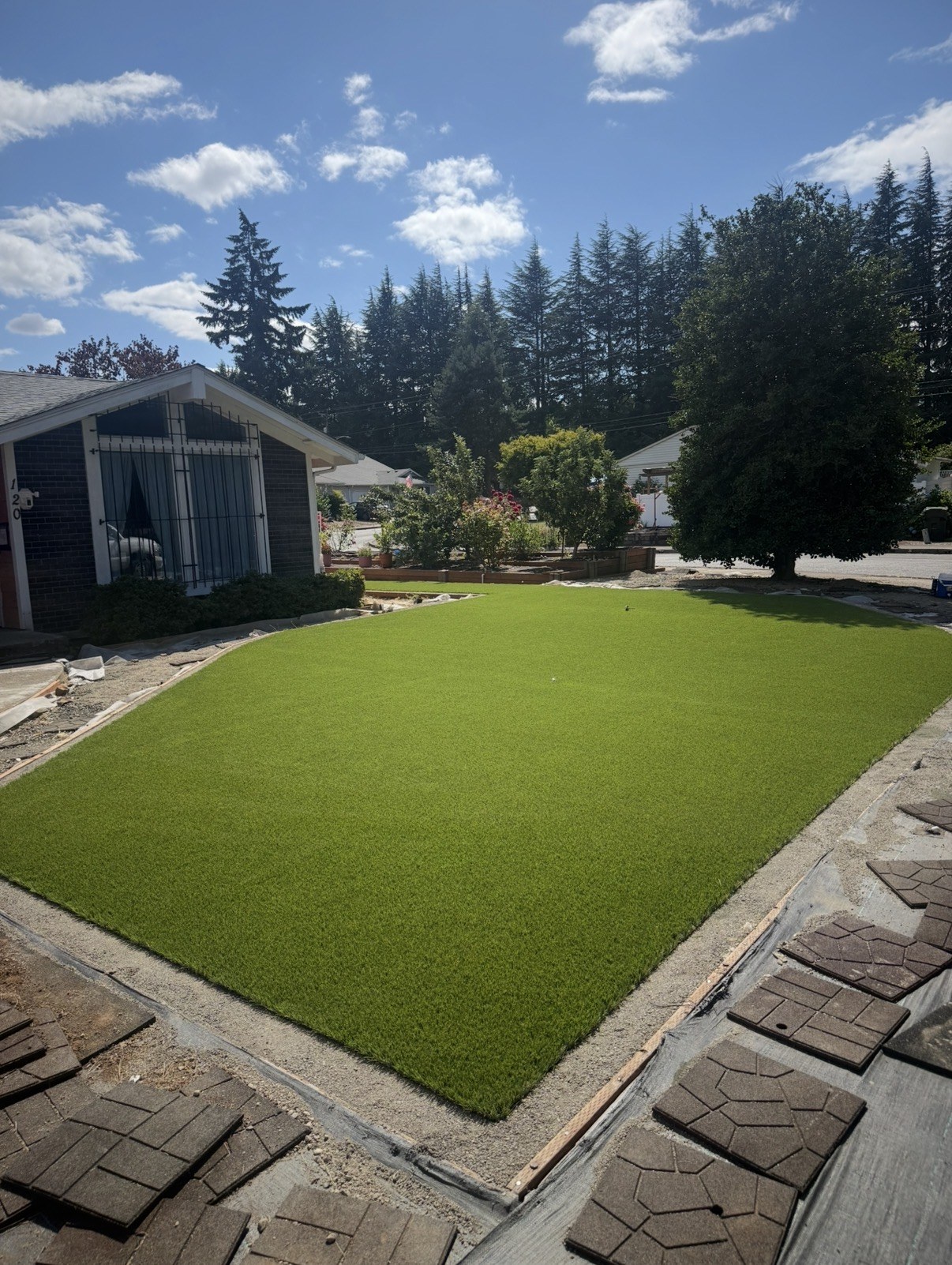 A greener backyard